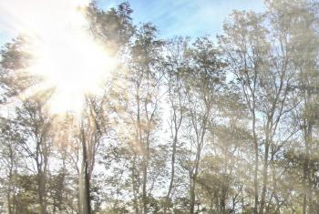 Rayonnement solaire