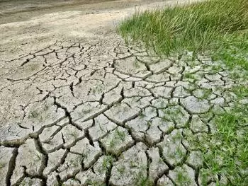 Changement climatique. Causes et conséquences