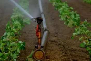 Irrigation utilisant l'énergie solaire photovoltaïque