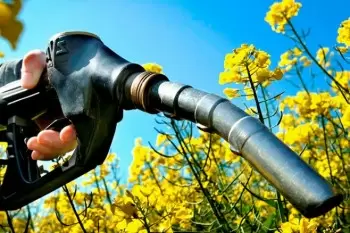 Les biocarburants comme source d'énergie